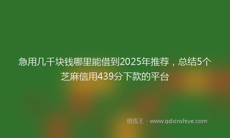 急用几千块钱哪里能借到2025年推荐，总结5个芝麻信用439分下款的平台