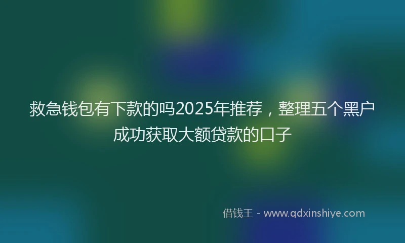 救急钱包有下款的吗2025年推荐，整理五个黑户成功获取大额贷款的口子