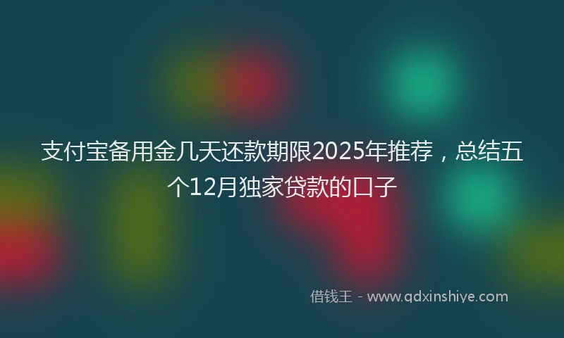 支付宝备用金几天还款期限2025年推荐，总结五个12月独家贷款的口子