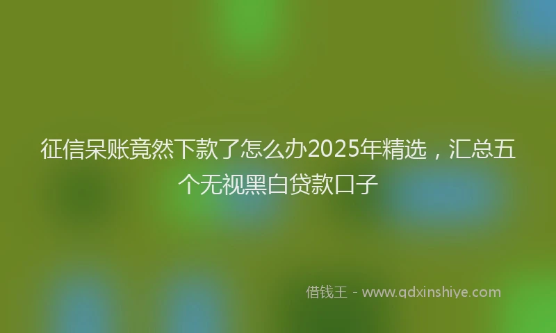 征信呆账竟然下款了怎么办2025年精选，汇总五个无视黑白贷款口子