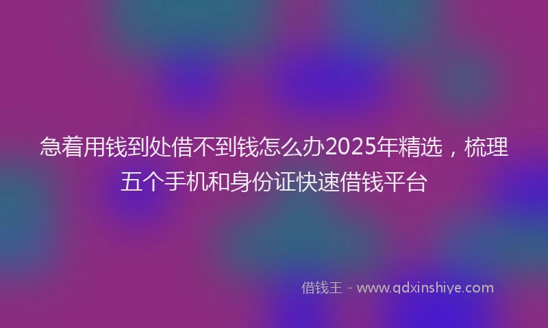 急着用钱到处借不到钱怎么办2025年精选，梳理五个手机和身份证快速借钱平台