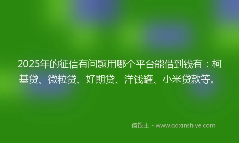 2025年的征信有问题用哪个平台能借到钱有：柯基贷、微粒贷、好期贷、洋钱罐、小米贷款等。