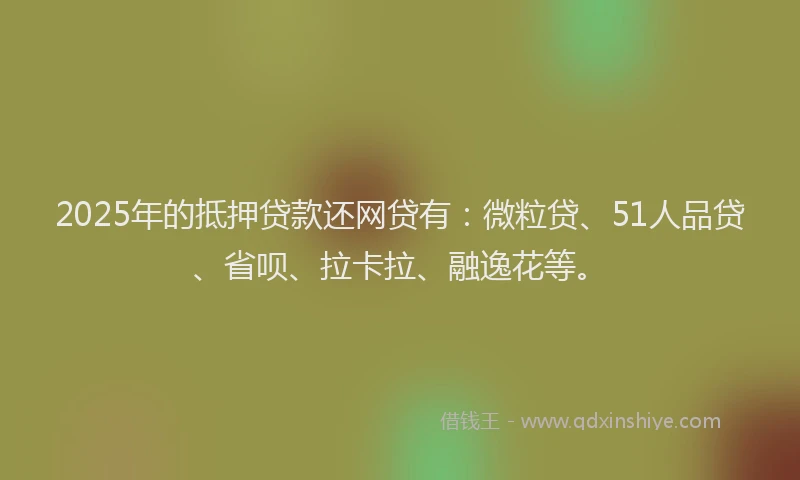 2025年的抵押贷款还网贷有：微粒贷、51人品贷、省呗、拉卡拉、融逸花等。