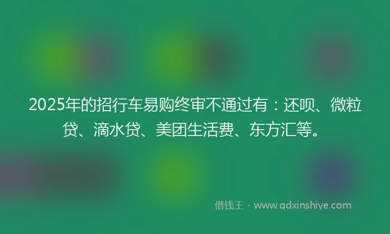 2025年的招行车易购终审不通过有：还呗、微粒贷、滴水贷、美团生活费、东方汇等。