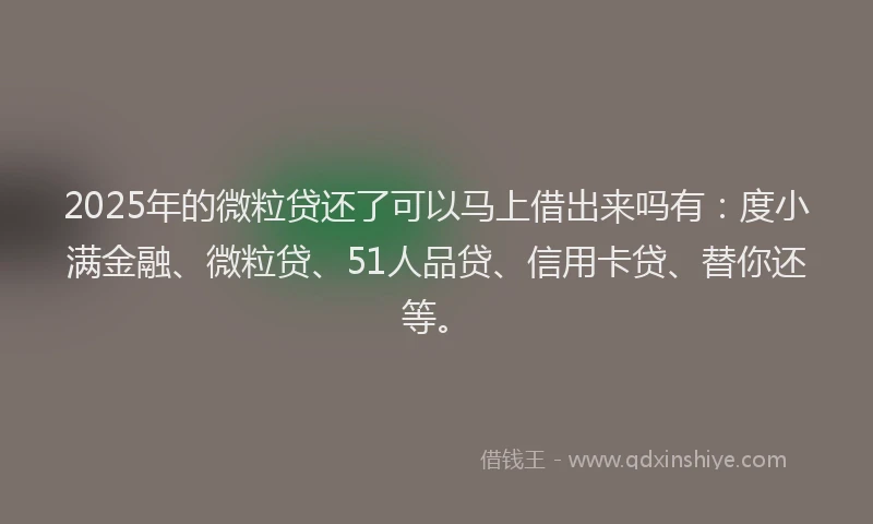 2025年的微粒贷还了可以马上借出来吗有：度小满金融、微粒贷、51人品贷、信用卡贷、替你还等。