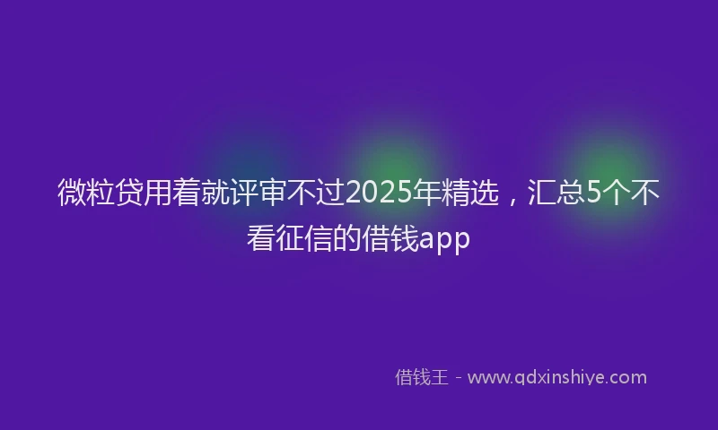 微粒贷用着就评审不过2025年精选，汇总5个不看征信的借钱app