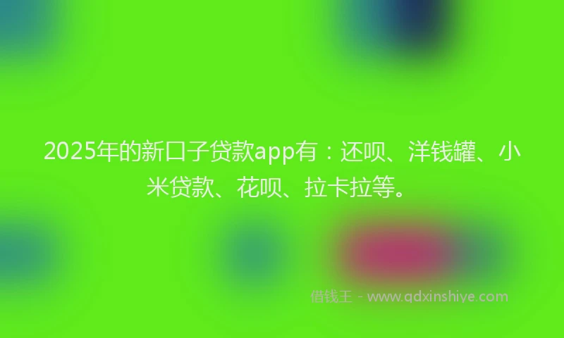 2025年的新口子贷款app有：还呗、洋钱罐、小米贷款、花呗、拉卡拉等。