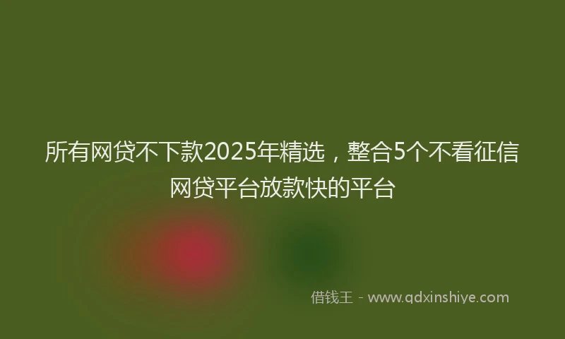 所有网贷不下款2025年精选，整合5个不看征信网贷平台放款快的平台