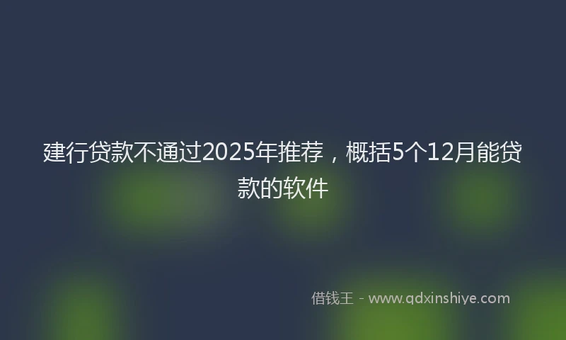 建行贷款不通过2025年推荐，概括5个12月能贷款的软件
