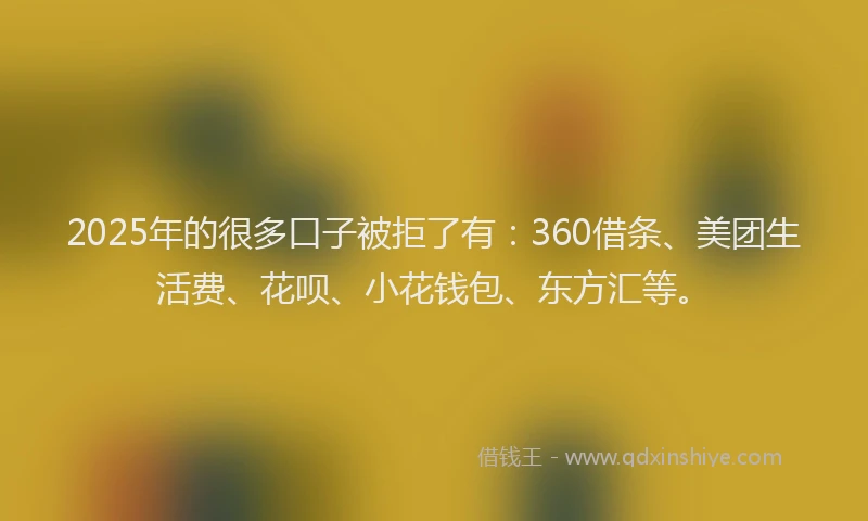 2025年的很多口子被拒了有：360借条、美团生活费、花呗、小花钱包、东方汇等。