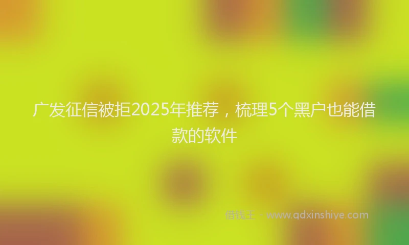 广发征信被拒2025年推荐，梳理5个黑户也能借款的软件