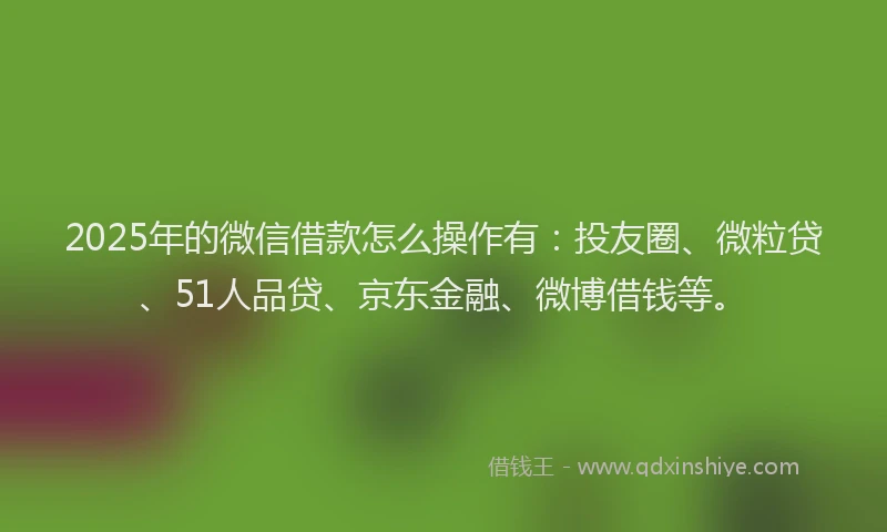 2025年的微信借款怎么操作有：投友圈、微粒贷、51人品贷、京东金融、微博借钱等。
