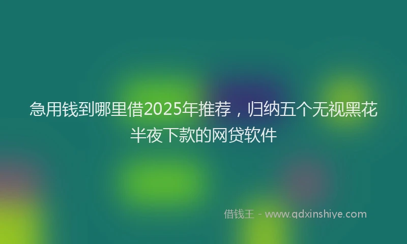 急用钱到哪里借2025年推荐，归纳五个无视黑花半夜下款的网贷软件