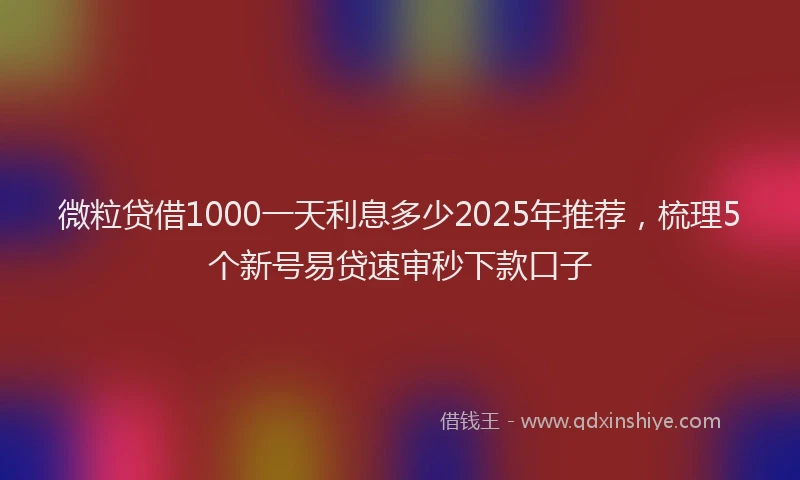 微粒贷借1000一天利息多少2025年推荐，梳理5个新号易贷速审秒下款口子