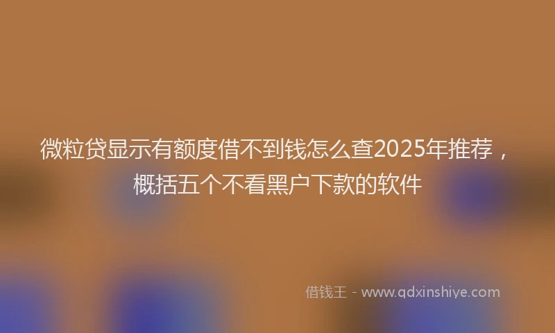 微粒贷显示有额度借不到钱怎么查2025年推荐，概括五个不看黑户下款的软件