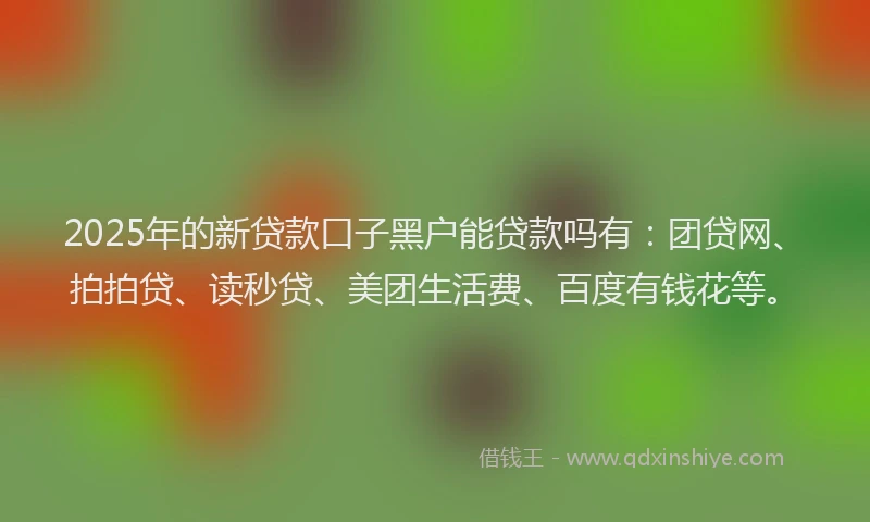 2025年的新贷款口子黑户能贷款吗有：团贷网、拍拍贷、读秒贷、美团生活费、百度有钱花等。