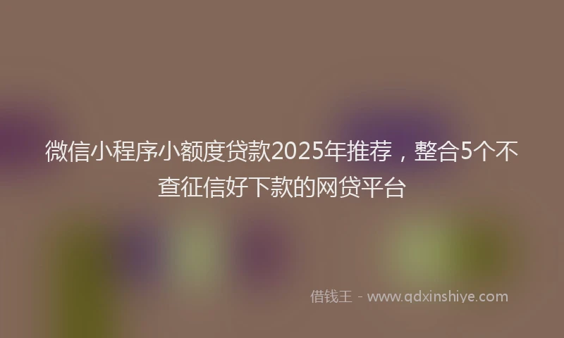微信小程序小额度贷款2025年推荐，整合5个不查征信好下款的网贷平台