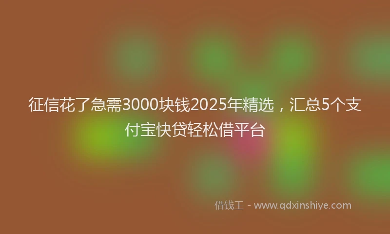 征信花了急需3000块钱2025年精选，汇总5个支付宝快贷轻松借平台