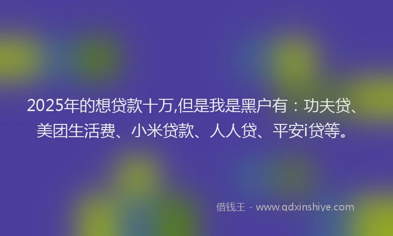 2025年的想贷款十万,但是我是黑户有：功夫贷、美团生活费、小米贷款、人人贷、平安i贷等。