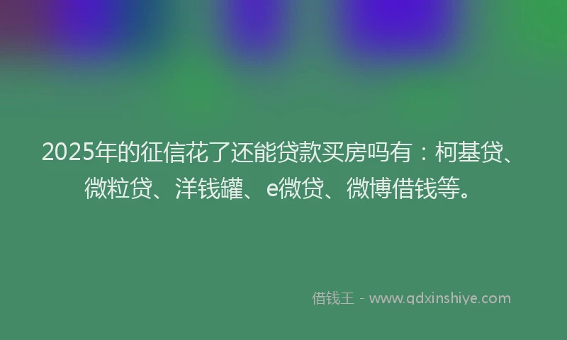 2025年的征信花了还能贷款买房吗有：柯基贷、微粒贷、洋钱罐、e微贷、微博借钱等。