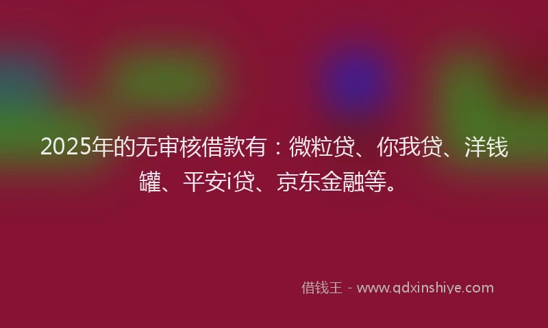 2025年的无审核借款有：微粒贷、你我贷、洋钱罐、平安i贷、京东金融等。
