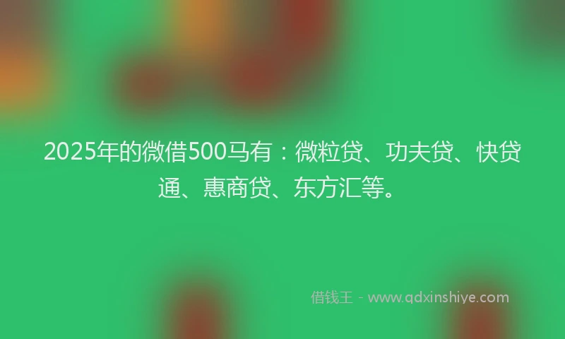 2025年的微借500马有：微粒贷、功夫贷、快贷通、惠商贷、东方汇等。