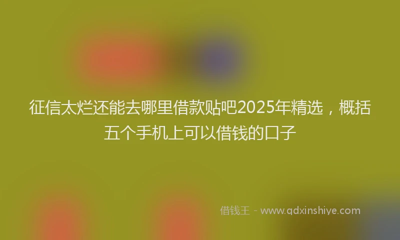 征信太烂还能去哪里借款贴吧2025年精选，概括五个手机上可以借钱的口子