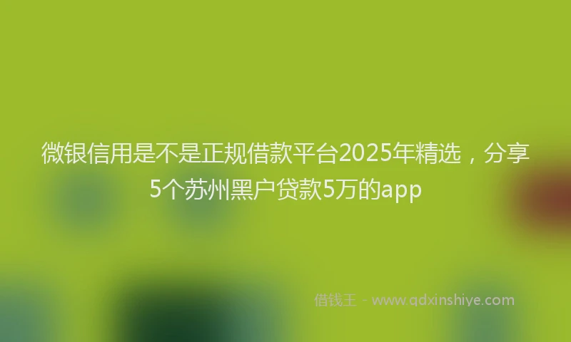 微银信用是不是正规借款平台2025年精选，分享5个苏州黑户贷款5万的app