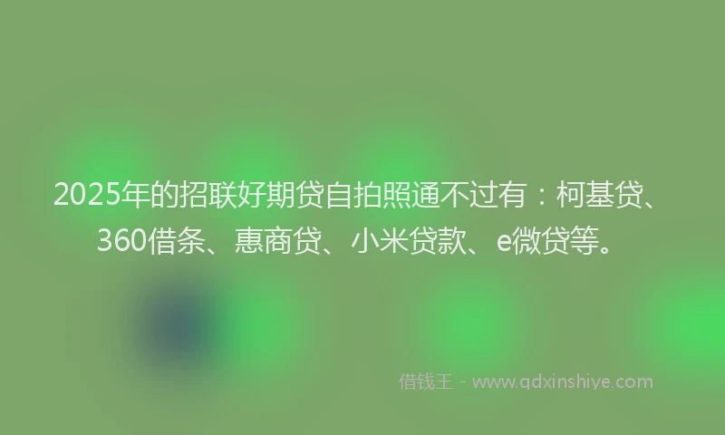 2025年的招联好期贷自拍照通不过有：柯基贷、360借条、惠商贷、小米贷款、e微贷等。