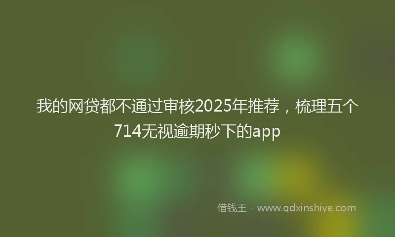 我的网贷都不通过审核2025年推荐，梳理五个714无视逾期秒下的app
