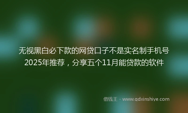 无视黑白必下款的网贷口子不是实名制手机号2025年推荐，分享五个11月能贷款的软件
