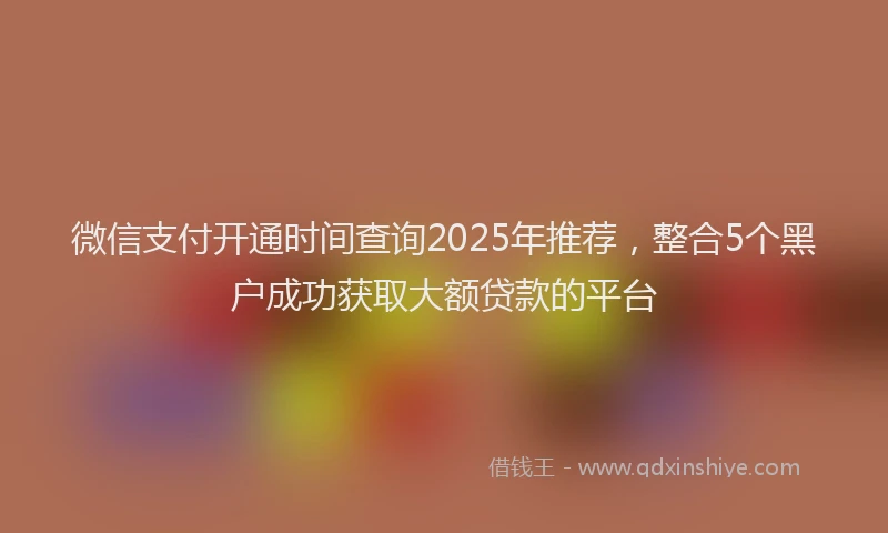 微信支付开通时间查询2025年推荐，整合5个黑户成功获取大额贷款的平台
