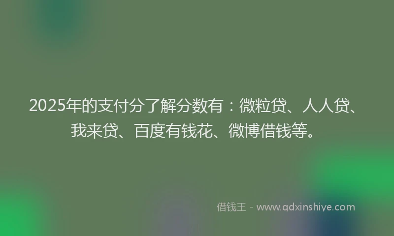 2025年的支付分了解分数有：微粒贷、人人贷、我来贷、百度有钱花、微博借钱等。