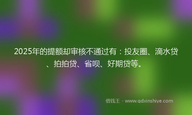 2025年的提额却审核不通过有：投友圈、滴水贷、拍拍贷、省呗、好期贷等。