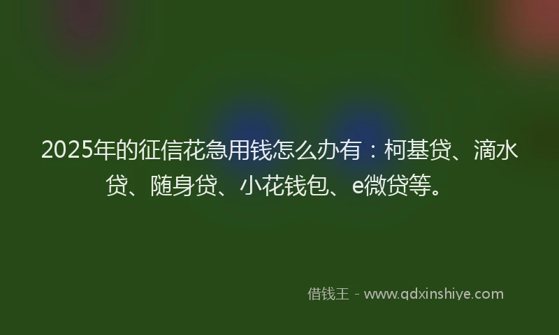 2025年的征信花急用钱怎么办有：柯基贷、滴水贷、随身贷、小花钱包、e微贷等。