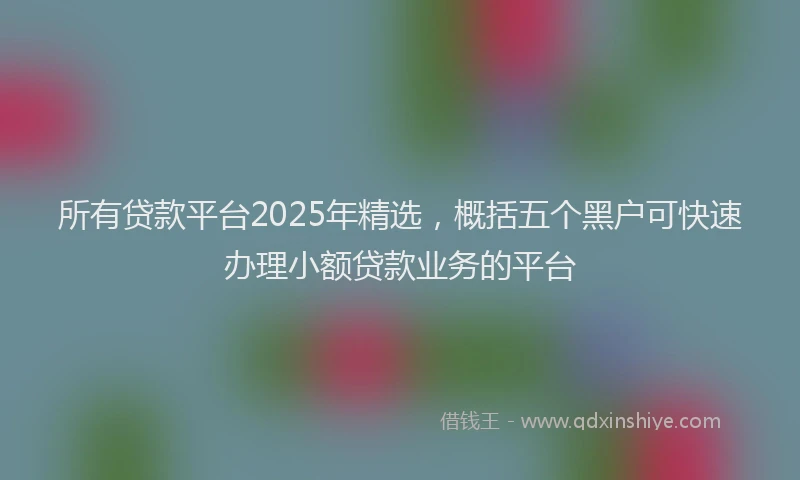 所有贷款平台2025年精选，概括五个黑户可快速办理小额贷款业务的平台