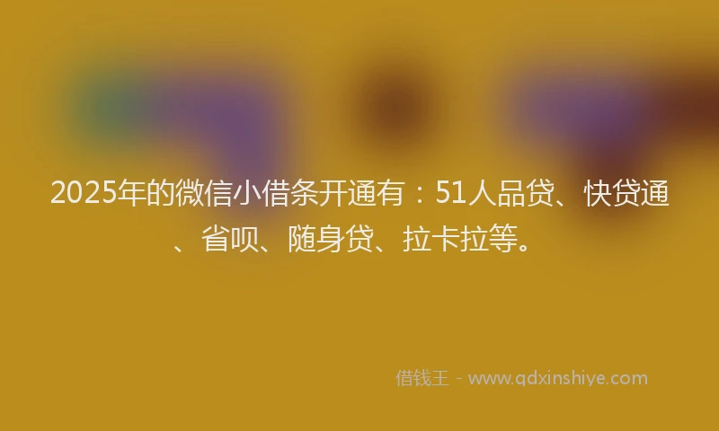 2025年的微信小借条开通有：51人品贷、快贷通、省呗、随身贷、拉卡拉等。