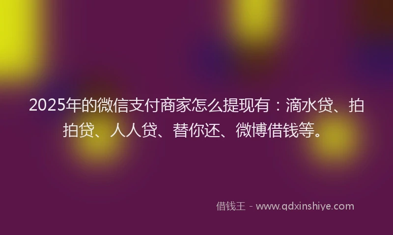 2025年的微信支付商家怎么提现有：滴水贷、拍拍贷、人人贷、替你还、微博借钱等。