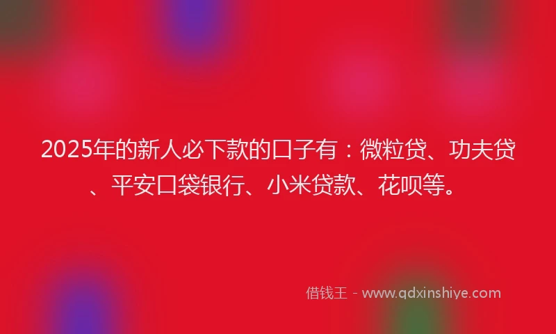 2025年的新人必下款的口子有：微粒贷、功夫贷、平安口袋银行、小米贷款、花呗等。