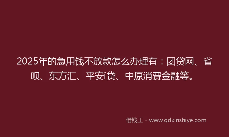 2025年的急用钱不放款怎么办理有：团贷网、省呗、东方汇、平安i贷、中原消费金融等。