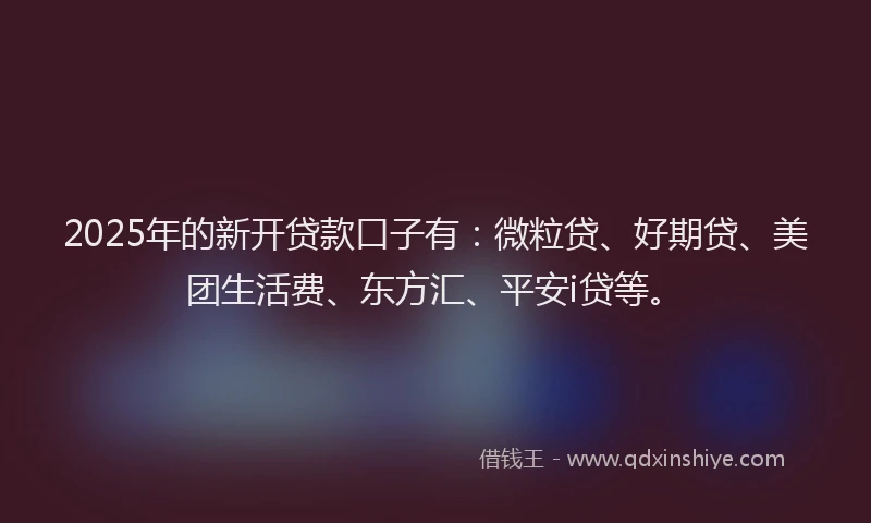 2025年的新开贷款口子有：微粒贷、好期贷、美团生活费、东方汇、平安i贷等。