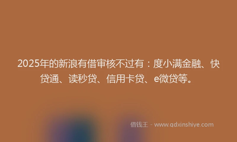 2025年的新浪有借审核不过有：度小满金融、快贷通、读秒贷、信用卡贷、e微贷等。