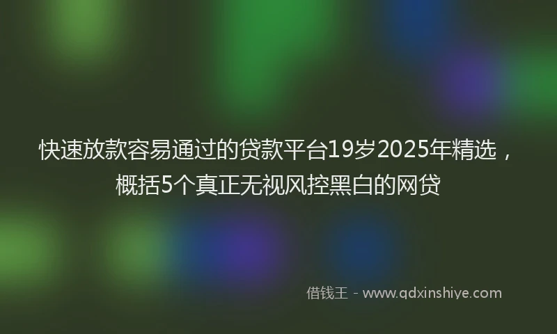 快速放款容易通过的贷款平台19岁2025年精选，概括5个真正无视风控黑白的网贷