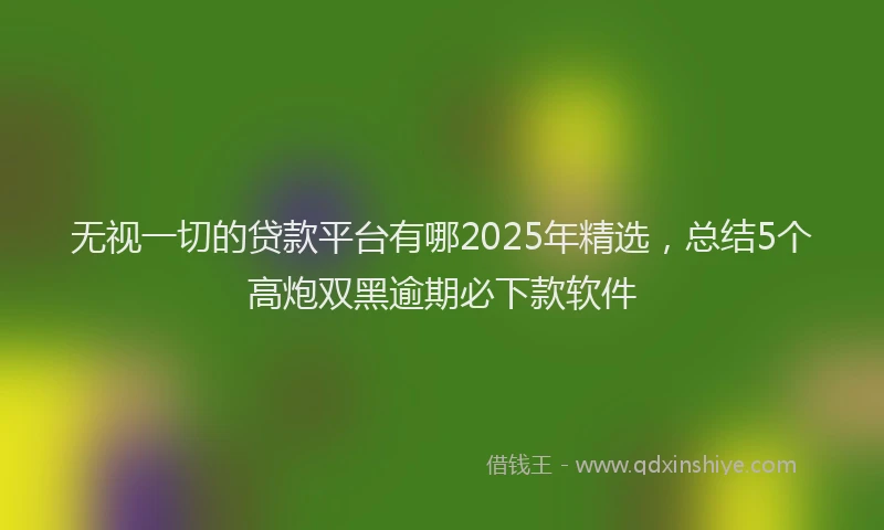 无视一切的贷款平台有哪2025年精选，总结5个高炮双黑逾期必下款软件