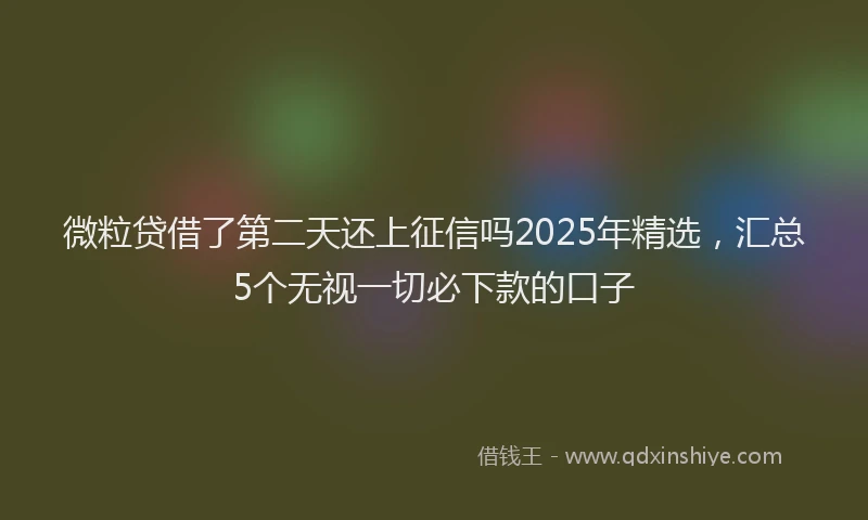 微粒贷借了第二天还上征信吗2025年精选，汇总5个无视一切必下款的口子