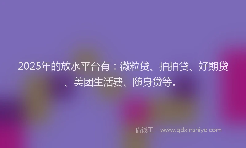 2025年的放水平台有：微粒贷、拍拍贷、好期贷、美团生活费、随身贷等。