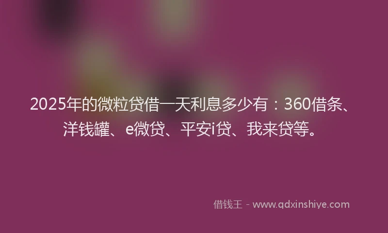 2025年的微粒贷借一天利息多少有：360借条、洋钱罐、e微贷、平安i贷、我来贷等。