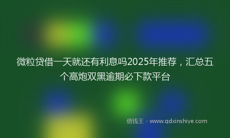 微粒贷借一天就还有利息吗2025年推荐，汇总五个高炮双黑逾期必下款平台