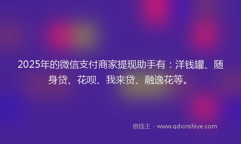 2025年的微信支付商家提现助手有：洋钱罐、随身贷、花呗、我来贷、融逸花等。