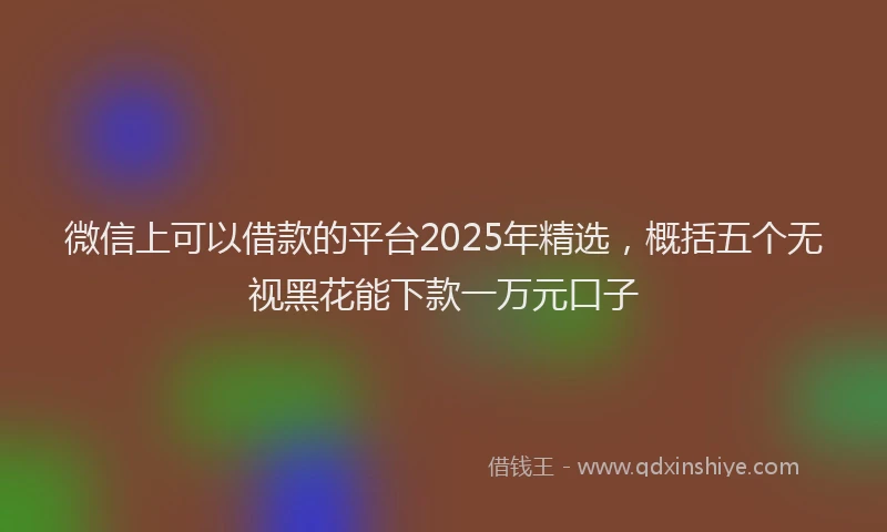 微信上可以借款的平台2025年精选，概括五个无视黑花能下款一万元口子